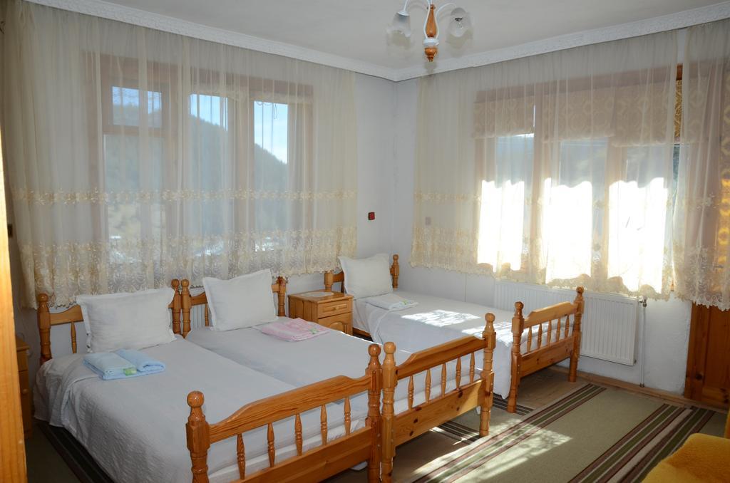 Kristal Guest House Trigrad Bagian luar foto
